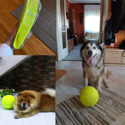 Inflatable Tennis Pet Toy – Elastic Rubber Training Ball for Corgis & Golden Retrievers